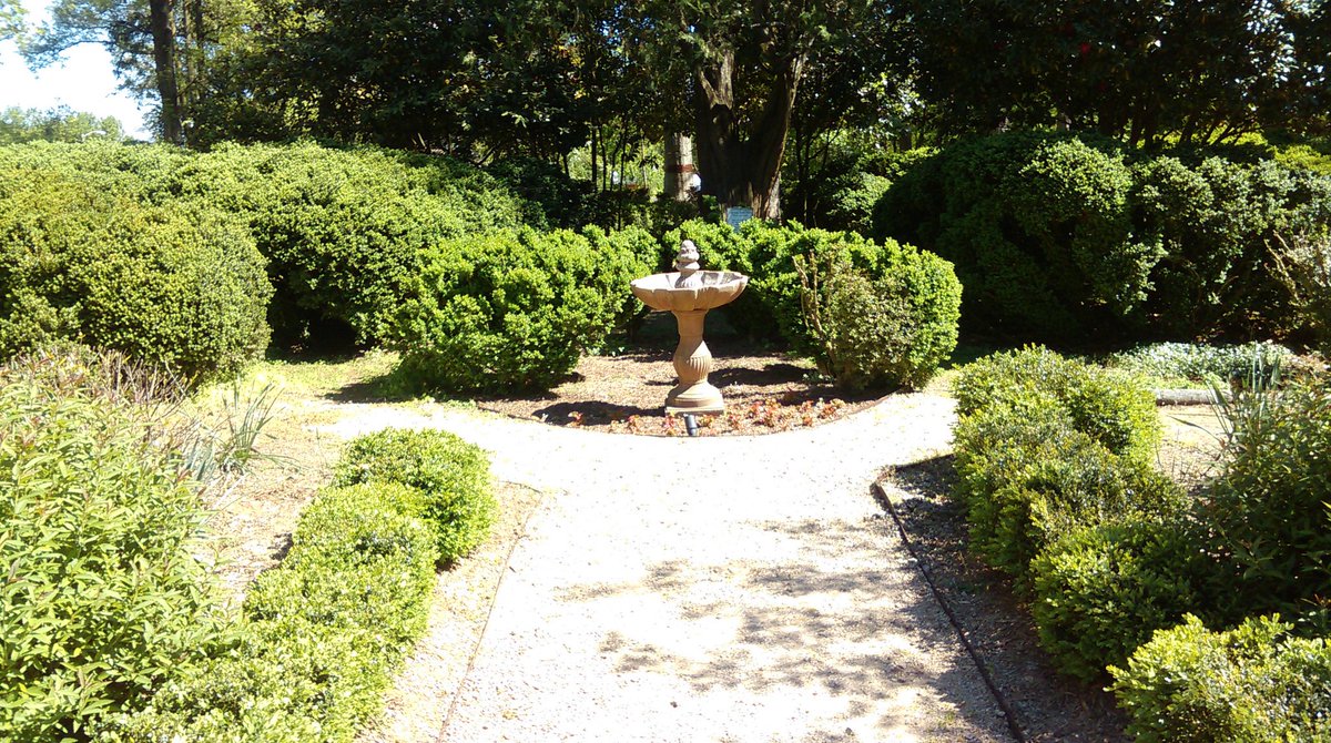 1815Rosedale's tweet photo. Join us for a weekend tour at Historic Rosedale https://t.co/0hDyDLUtJD