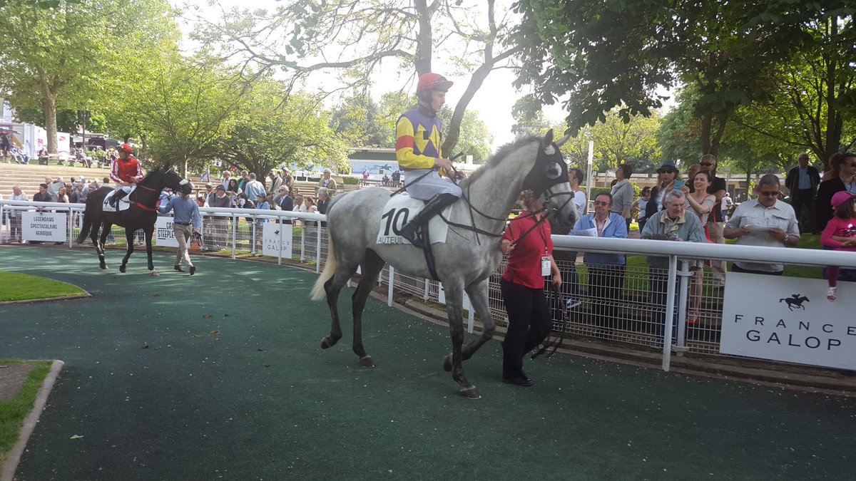 seenthestars's tweet photo. Race for the greys... #ThousandStars #Simonsig #GeveryChambertin #AlFerof https://t.co/wYP5g0Jhol