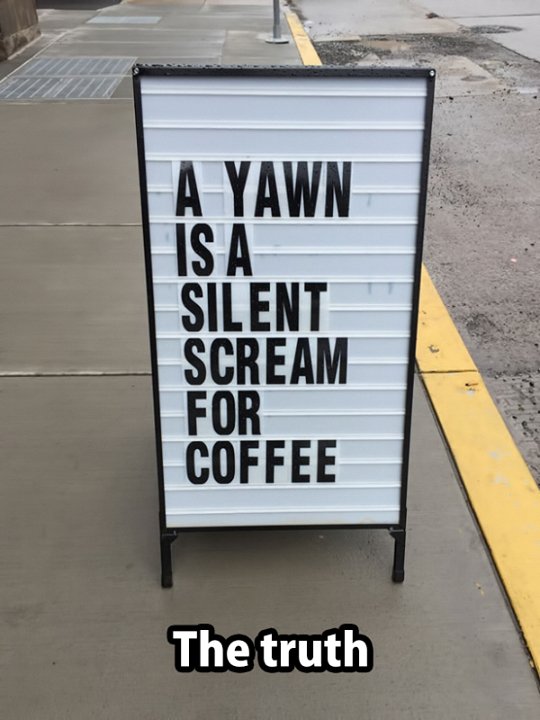 Barista Probs tweet media