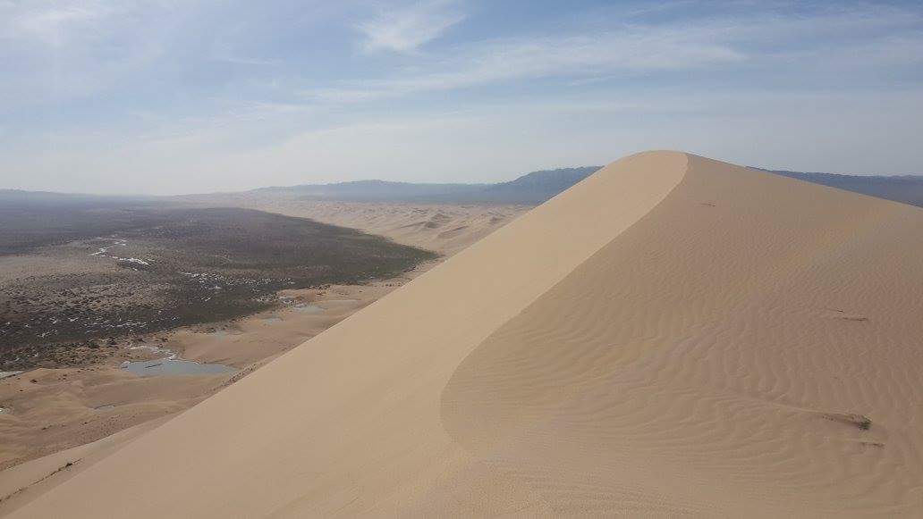 IdreTour's tweet photo. Tour to #GobiDesert with #IdreTour in #Mongolia. https://t.co/icBruq5noH https://t.co/ujrBpfvIL7