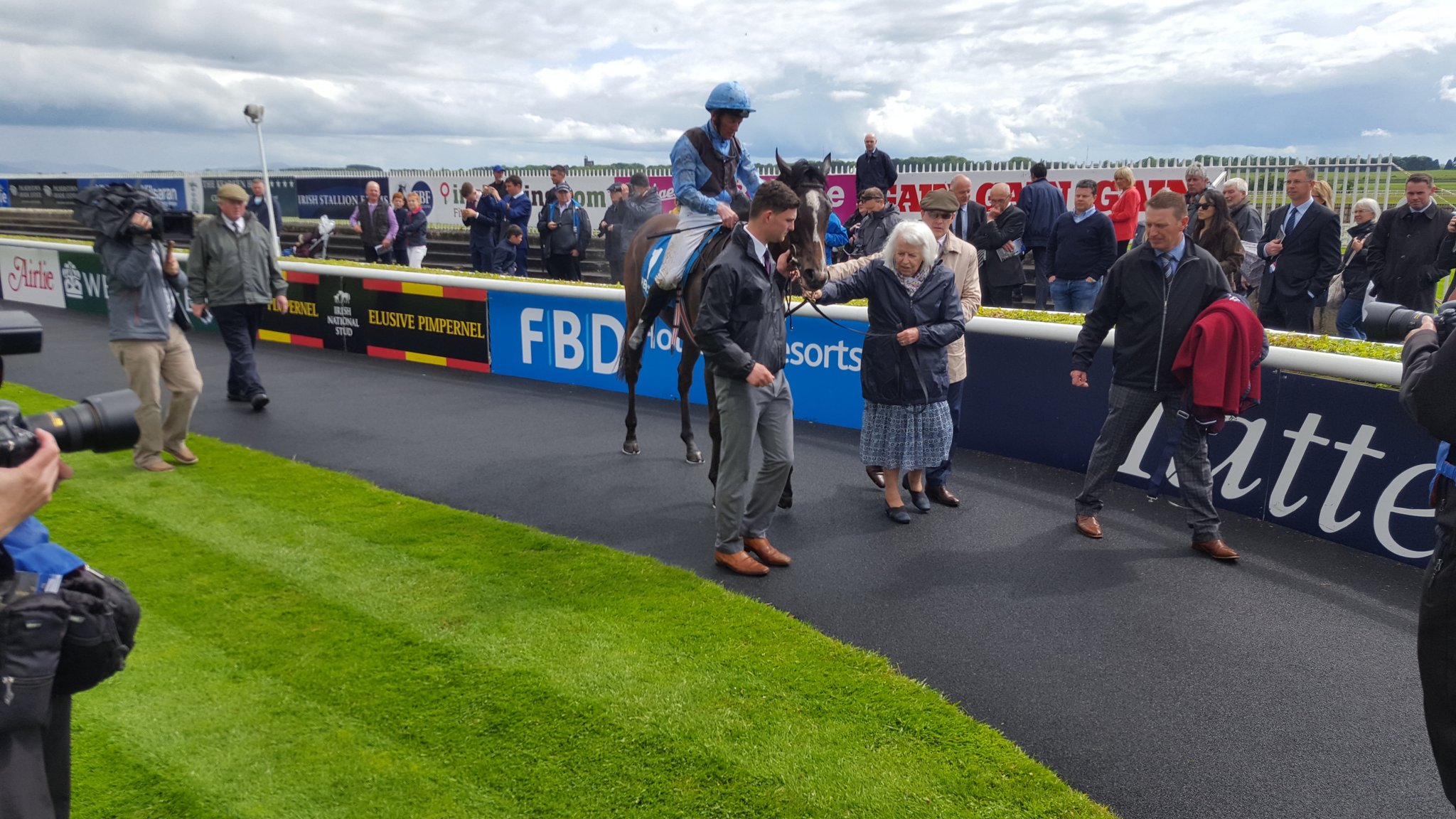Breed. Code. Date foaled. Sex Colour. Code. Foal Name, Dam & Sire of Dam. Owner / Breeder CLOGHER MERRY COUGAR, MERRY LASS (RID) by MERRY MATE (IDC1). McGrath. Pat, Co CURRAGH HEATHER (RID). Patrick Scarry the irish horse register - Horse Sport Ireland