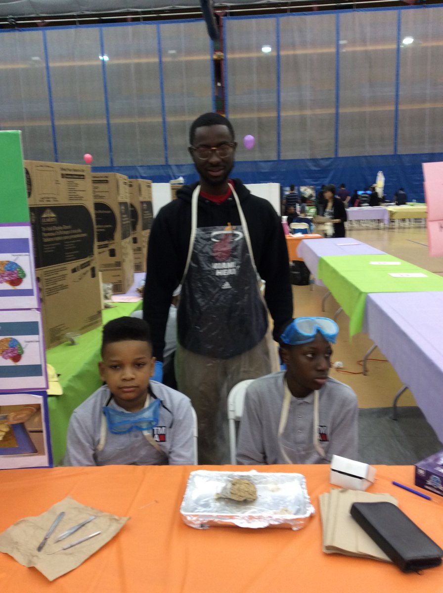WriteNowYO's tweet image. Thurgood Marshall Academy students show me sheep brains are similar to humans #STEMExpo #SuperSaturdayNYC @harlembgc