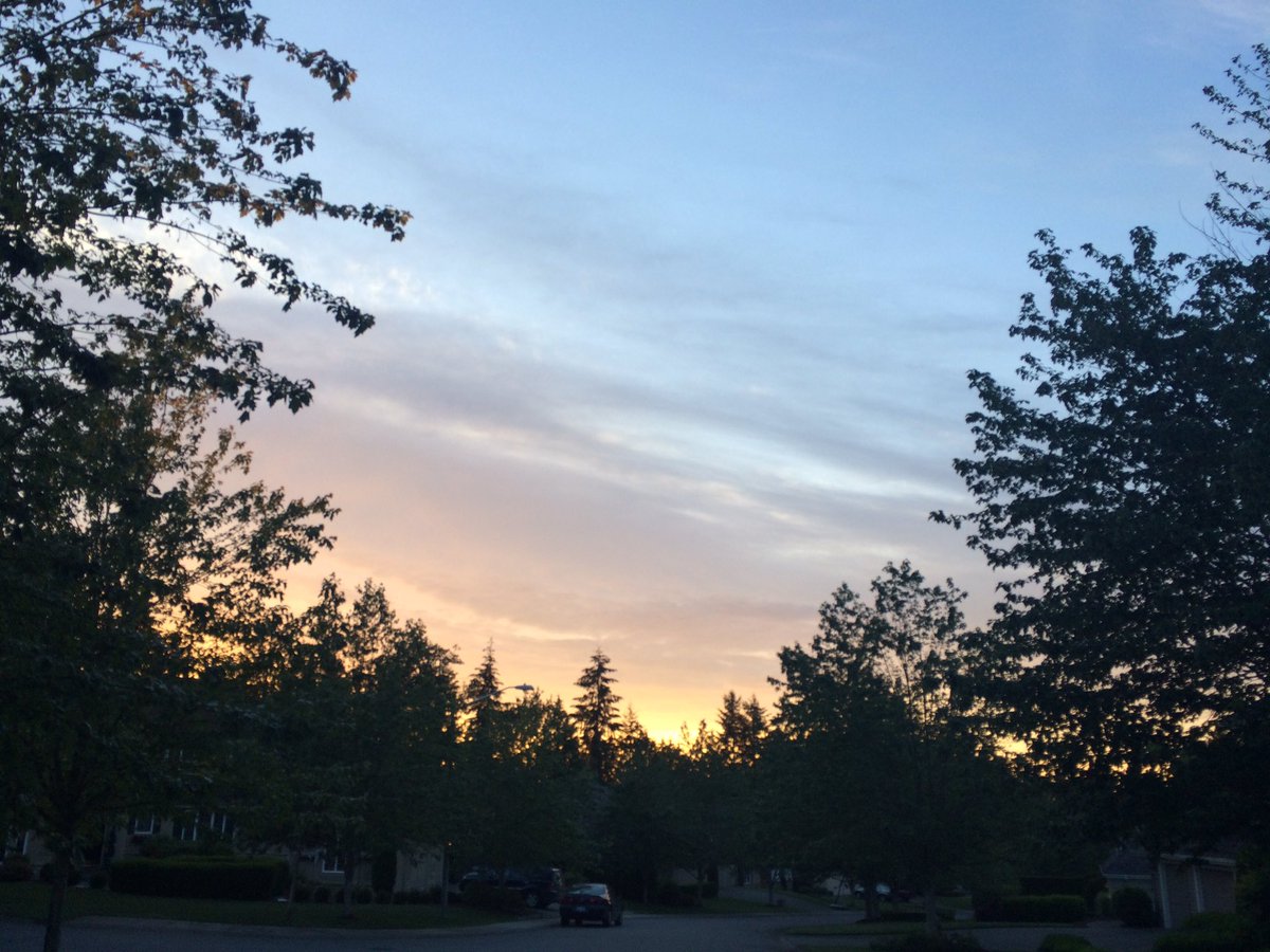 _skyvibes's tweet image. Pictures don&apos;t do the sky justice