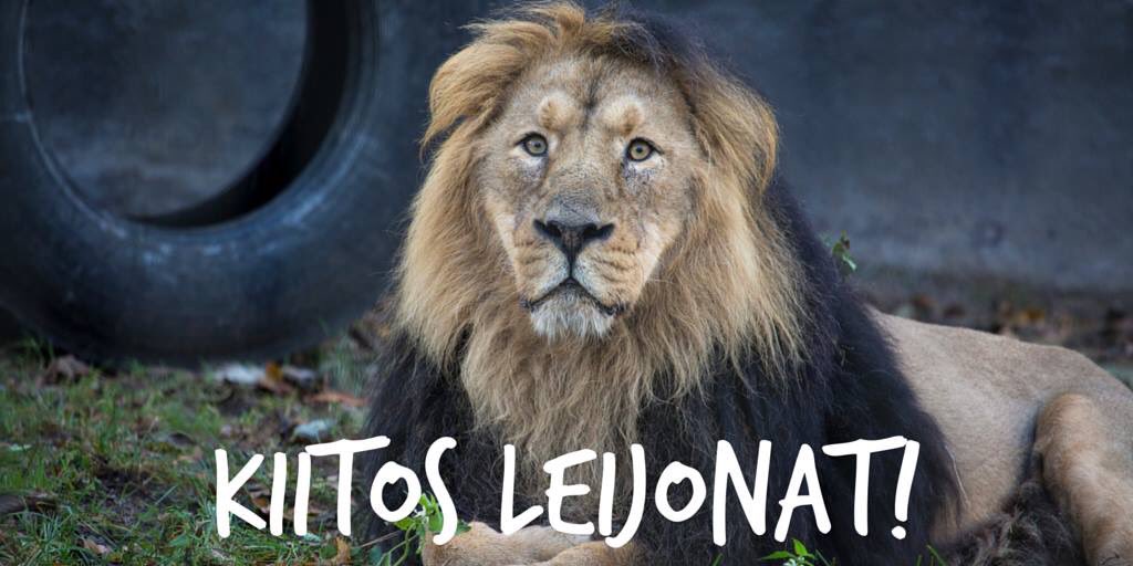 Korkeasaari's tweet image. Korkeasaari onnittelee, kiitos #leijonat! Vielä yksi. #mm2016 #IIHF2016