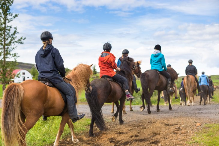 Ride Through Iceland’s Stunning Scenery on Horseback! bit.ly/20c8Gkb