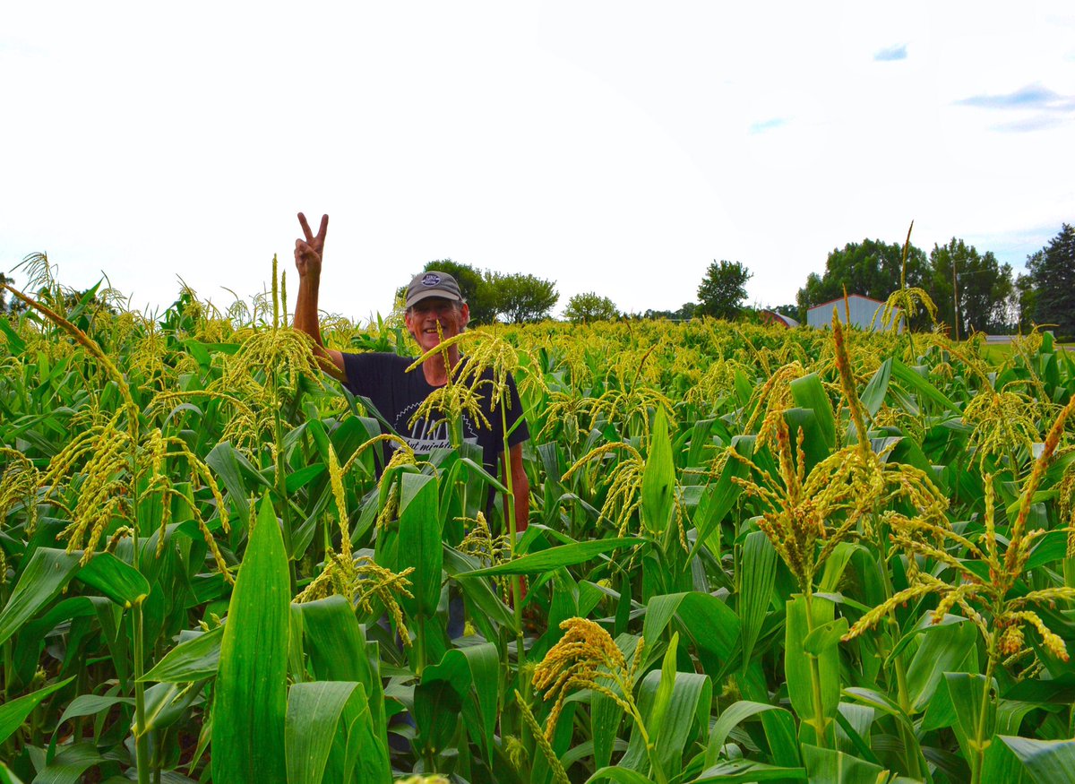 TBMpopcorn's tweet photo. We're ready for summer + green fields + green grass + hot temps + hands in the dirtβπ»οΈπ½ #iowa #farmlife #tinypopcorn https://t.co/yj3na3V7pg