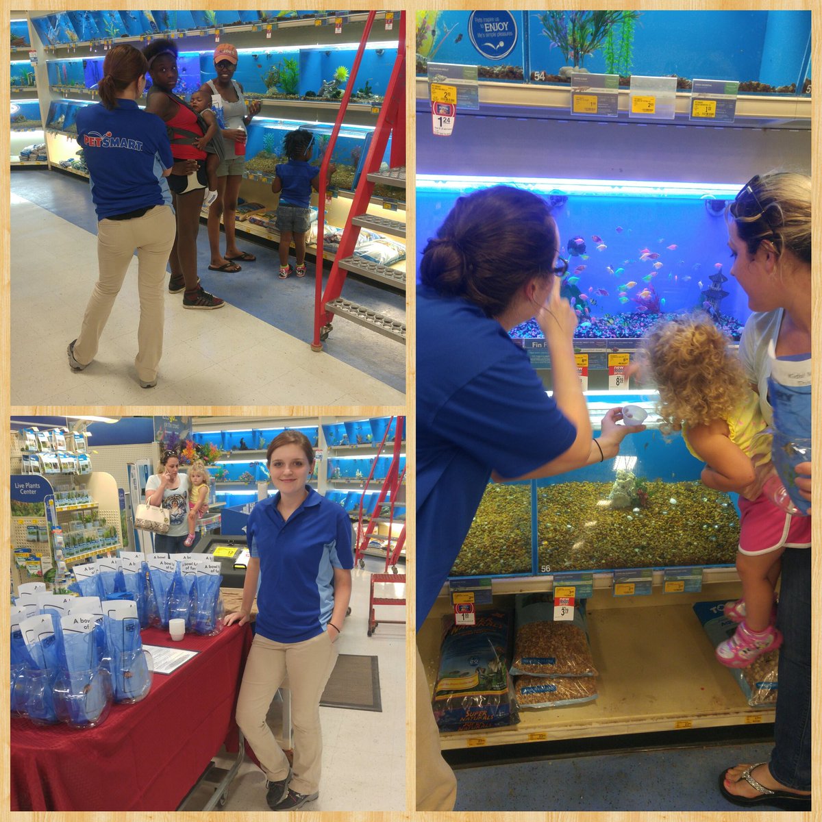 PetSmart 637 tweet media