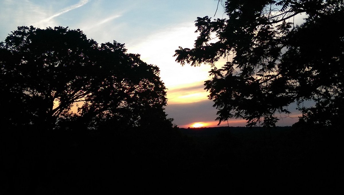 BrennerHarley's tweet photo. https://t.co/2HowN8kM6H https://t.co/d8InpaszP5