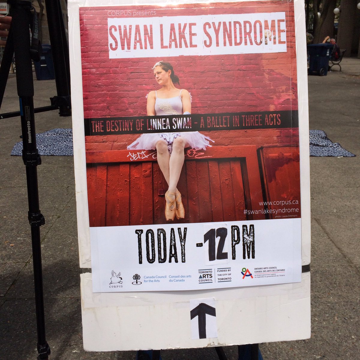 fashionsketchr's tweet photo. Just saw #swanlakesyndrome by #corpus - hilarious take with one swan and audience extras. Fabulous! @StLawrenceMkt https://t.co/yJfSVrmnhI
