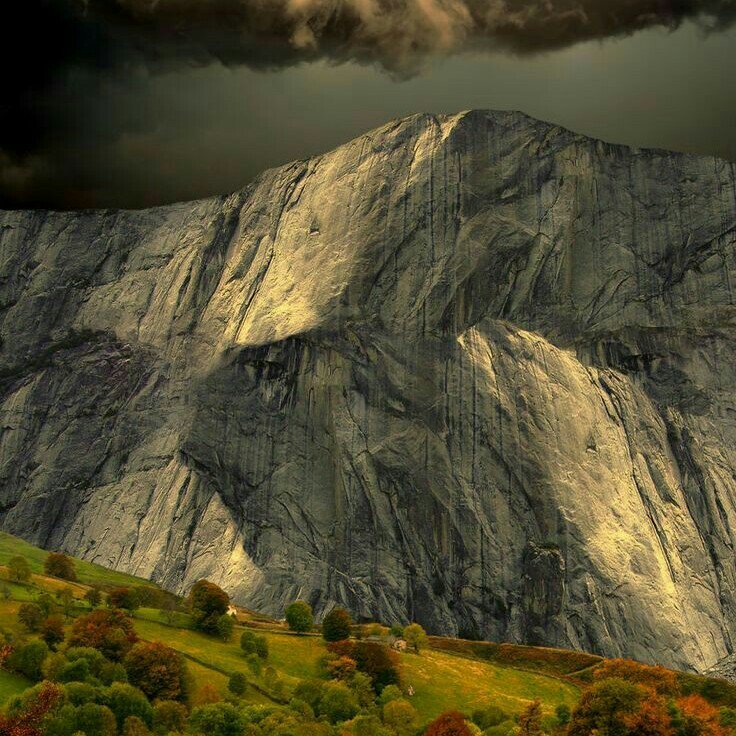 Design_98's tweet image. 