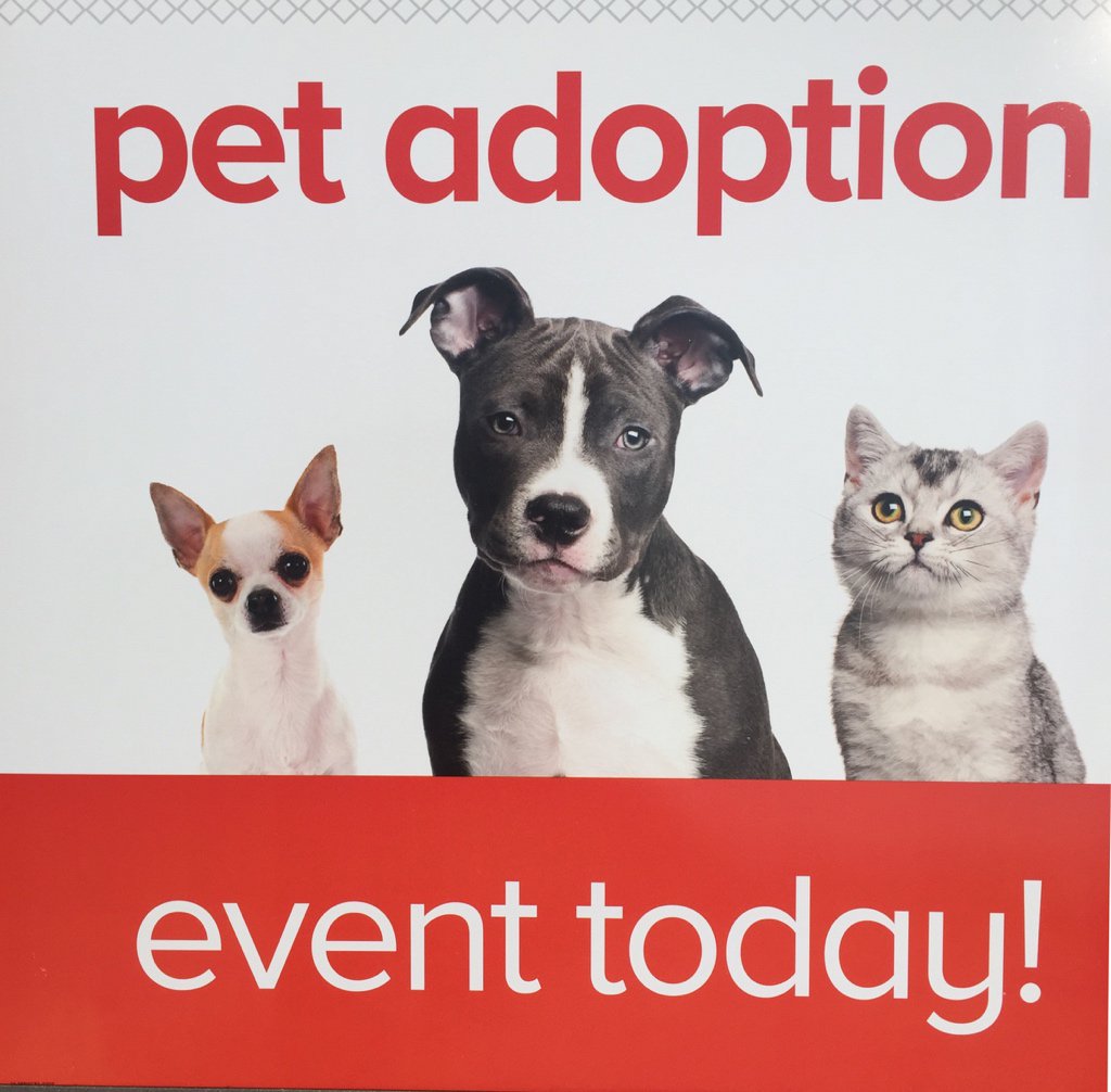 petsmart2109's tweet photo. It’s National Adoption Weekend @PetSmart! Great time to adopt a new family member! #adoptlove #CoastalNAW https://t.co/3QUb8hn9hN