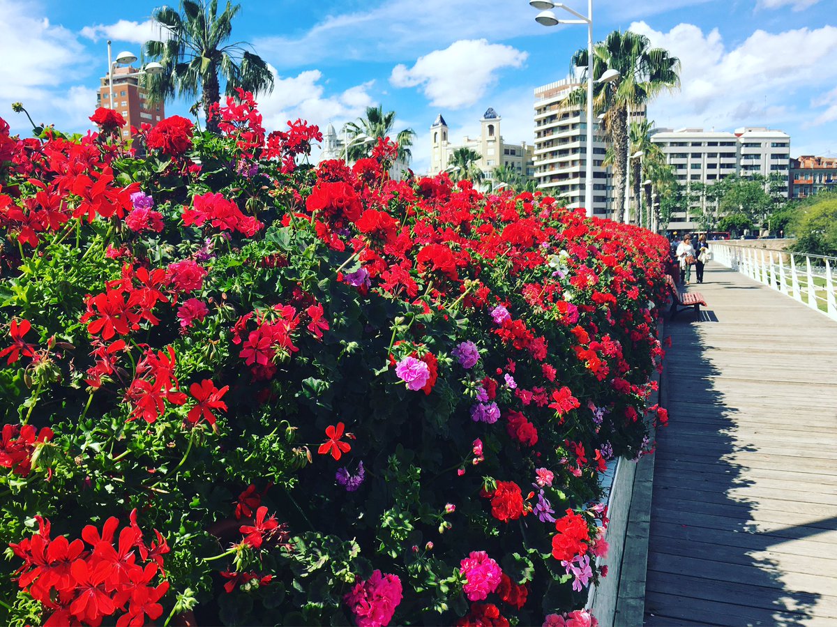 ¡Os deseamos un gran fin de semana! 😊 Aprovecha el buen tiempo y elige tu #plan en nuestra #web! ☀️ #VALENCIA ☀️