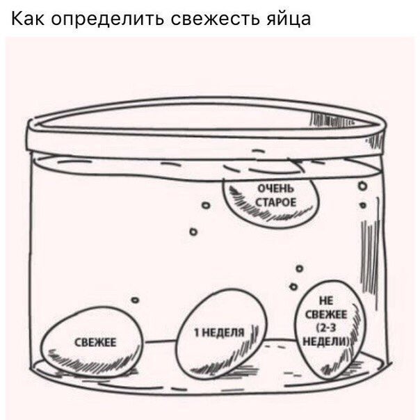 fact_yes's tweet photo. На заметку https://t.co/xMGzC3aYpi
