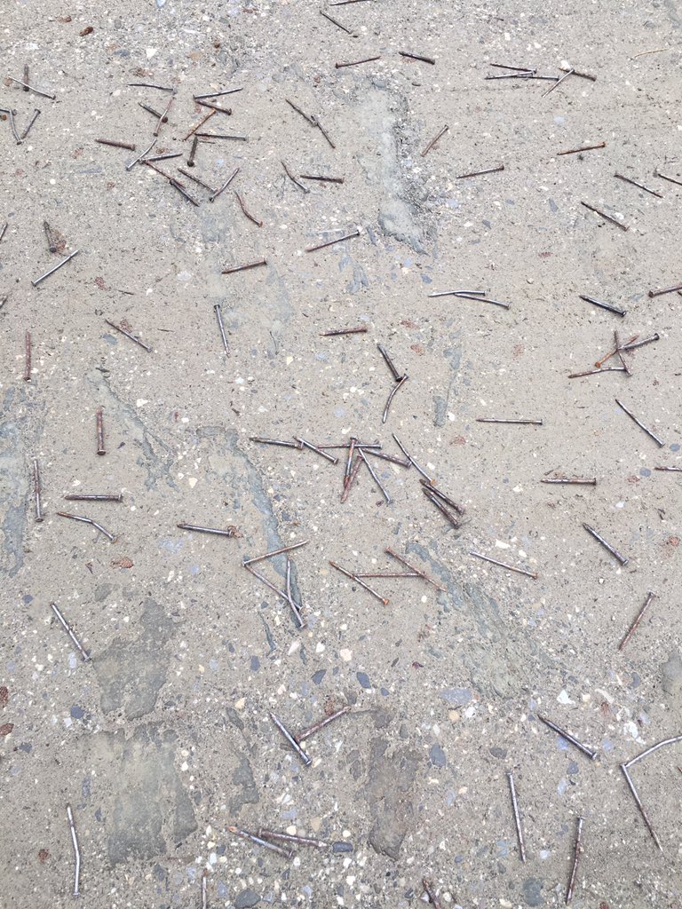 Benna80's tweet image. La mamma dei CRETINI è sempre incinta ..... #senzaparole