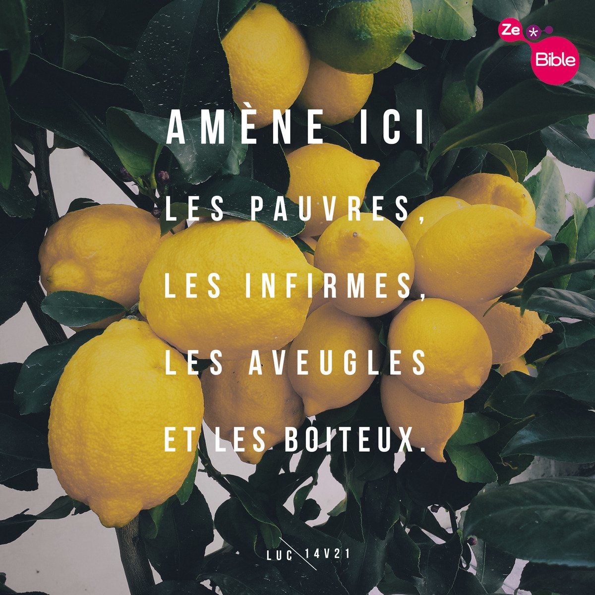 ZeBible's tweet photo. Voilà un dîner pas c… https://t.co/kJgdlUD5bA #amener #pauvre #infirme #aveugle #boiteux #solidarité #exclu #repas https://t.co/kaHaEZz8wp