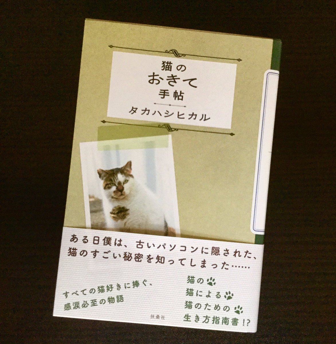 ツイッター 猫 組長