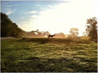 sharimycek's tweet photo. Equine-Spa Connection: Salamander Resort &amp; Spa - Shari Mycek https://t.co/UifeVi2499 https://t.co/UBUDMAbl3G