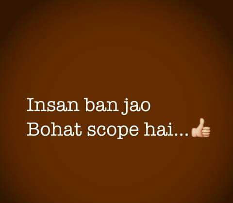kashii tweet media