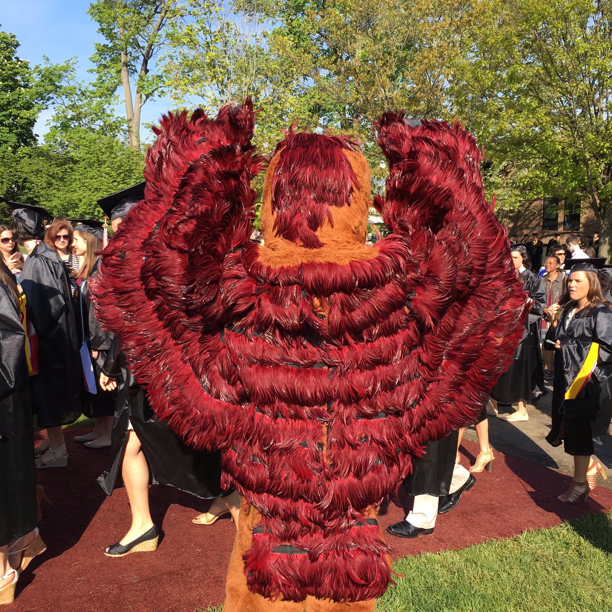 saintjosephs's tweet photo. The Hawk greets the grads. #SJU16 #THWND #hawk16 https://t.co/LqVQ8tzlfl