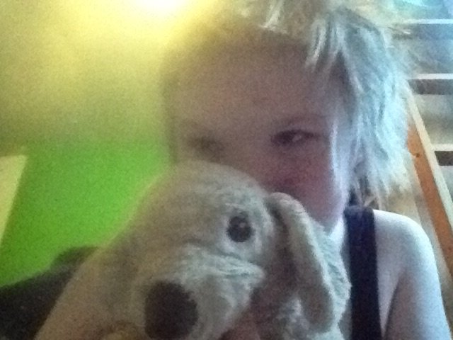 Ninawinter5's tweet image. Meet our new dog Logan