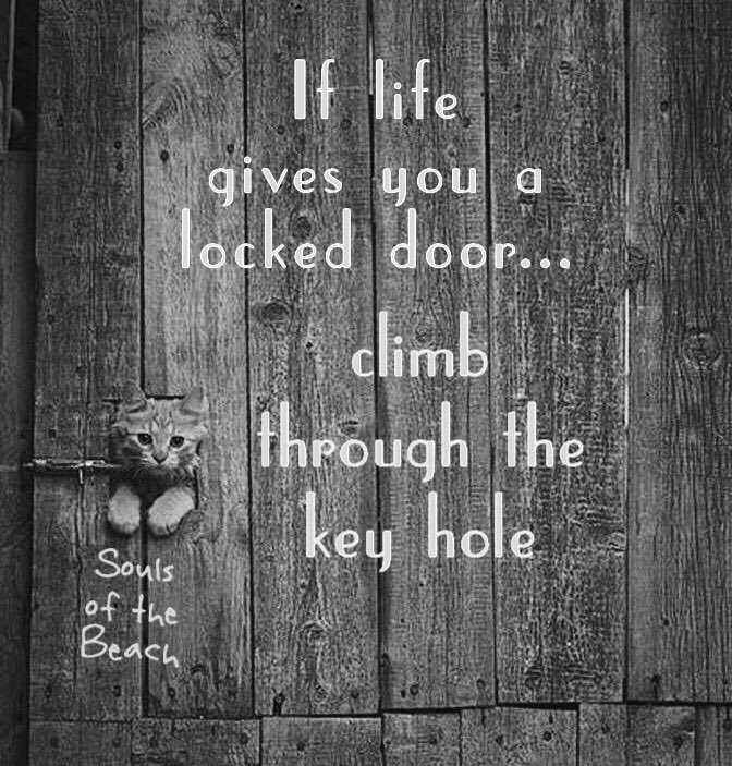 GWaidmann's tweet photo. BELIEVE
Just because you cant see it
doesn't mean it's not there
@iamalive41 
#believe #faith https://t.co/SogwZ4epw1