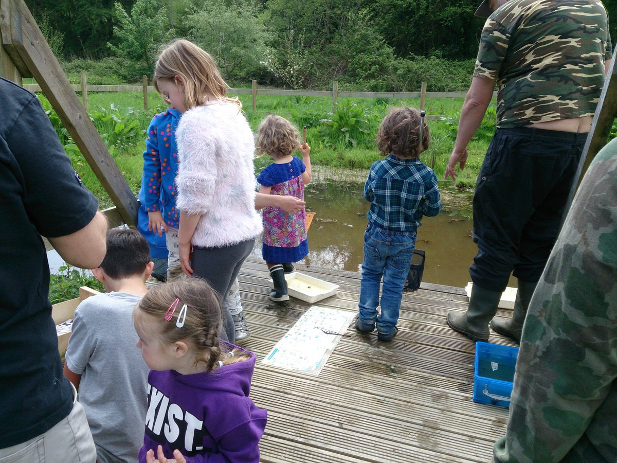 CoedenFachTrees's tweet photo. An amazing turn out for our Family Fun Day today. Thanks to all visitors and volunteers! What a day! https://t.co/5lEoPQaRtD