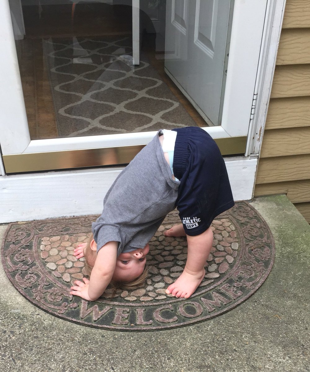 StormToddlers's tweet photo. My names Logan. When I can't figure out how to get down I just do head stands #toddlerlife #momlife #boys https://t.co/IKwnqtraRz