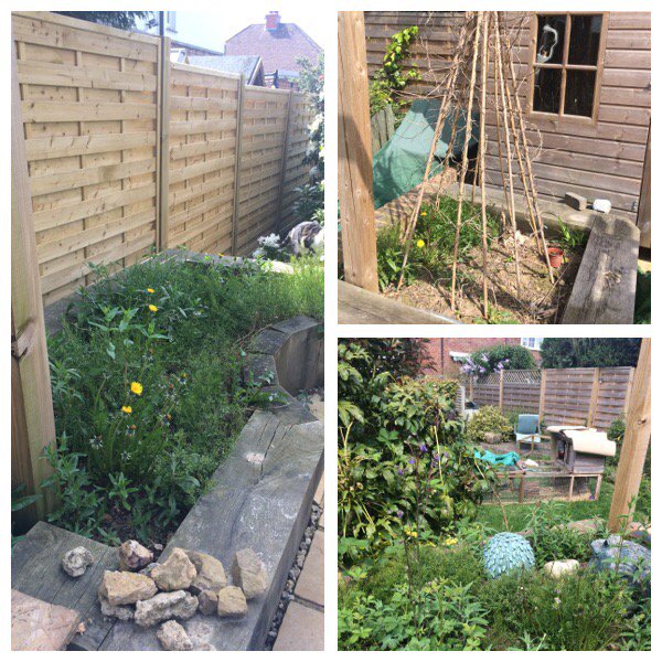 LouBcakes's tweet image. Got my work cut out here!! #crazyhouseproject204 #garden #vegetableplot