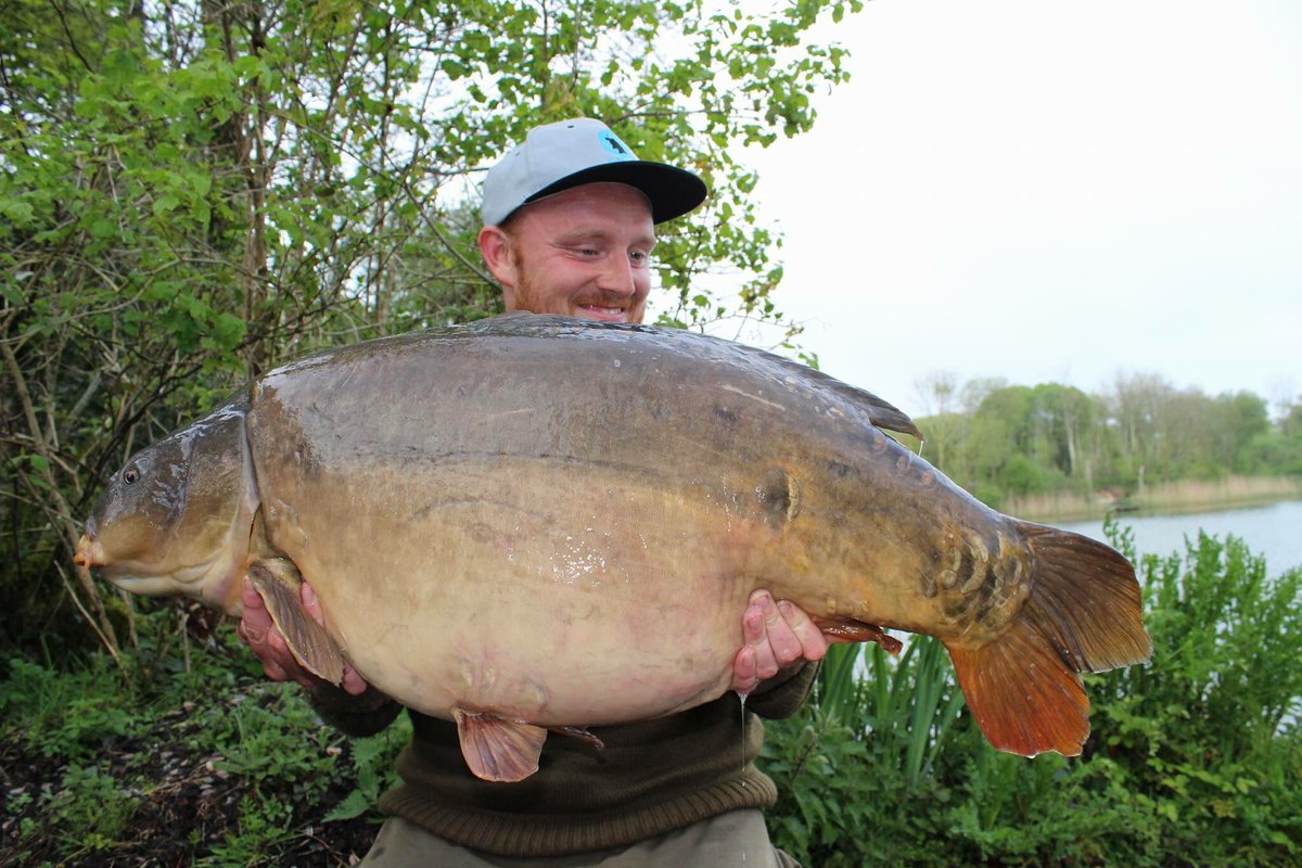 Ethan Thomas tweet media