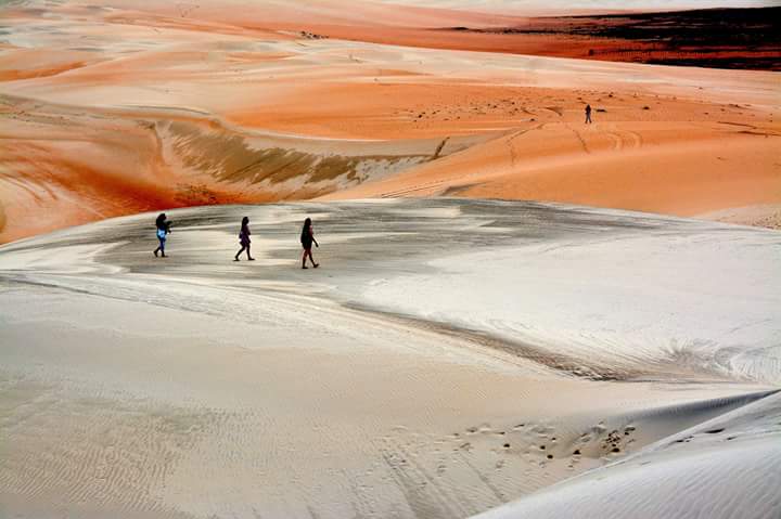 joaomariaalves4's tweet photo. Dunas do Rosado, Rio Grande do Norte. https://t.co/jpBWts8vfp