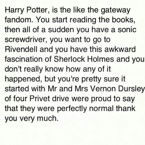 Kamash268's tweet photo. Exactly! Story of my fangirl life... #Potterhead #nerd #nerdolution #fangirl https://t.co/yObqx4Y2sx