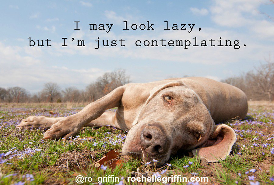 ro_griffin's tweet photo. Everyone needs some downtime. Don't forget to take care of yourself! https://t.co/eOfLavZYZK