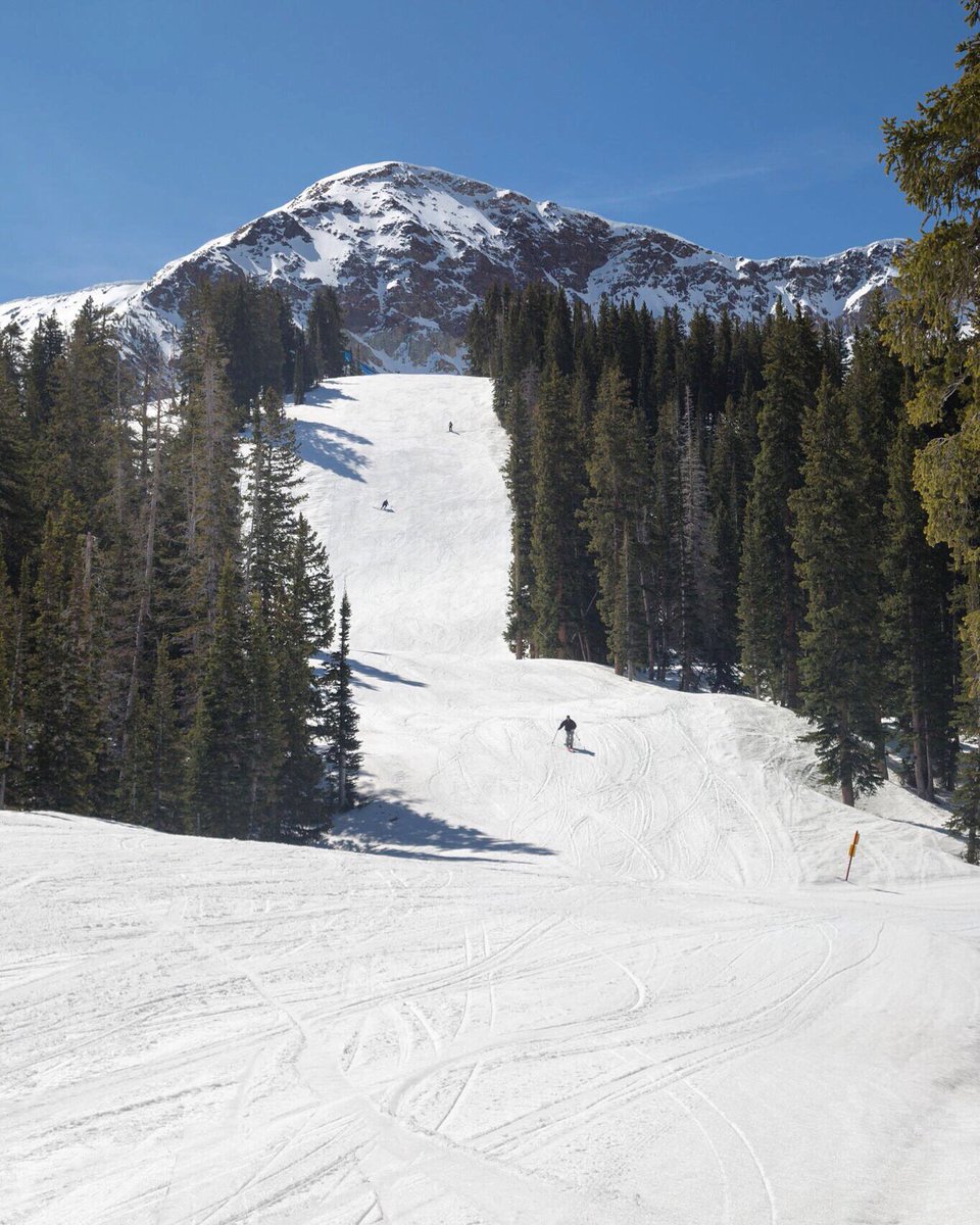 Snowbird's tweet photo. Get it while the gettin's good. #snowbird https://t.co/sWjHyFz0vn