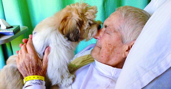 LionsRoar's tweet photo. Zen pioneer Zenkei Blanche Hartman passed away Friday. Here, she explores the gift of life. https://t.co/ubdQo8PVdK https://t.co/4bVnnxHV3Q