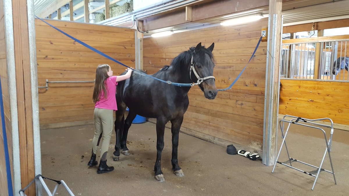 devillediva's tweet image. Susan with Madison. Getting ready for cross rails.