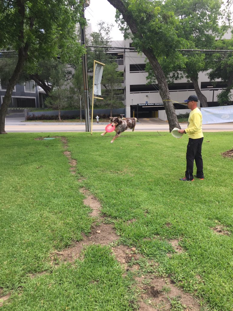 FiteDPD's tweet photo. It's a great day at K9 Chief on the Beat @DallasPD https://t.co/WEFYzCBRpa