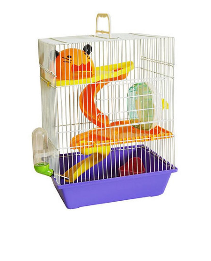 petbuddybrasil's tweet photo. Quer ganhar essa incrível gaiola para hamster?  É só seguir as instruções no link >>https://t.co/RFWRabhZ9V
#sorteio https://t.co/75WlYB78A0
