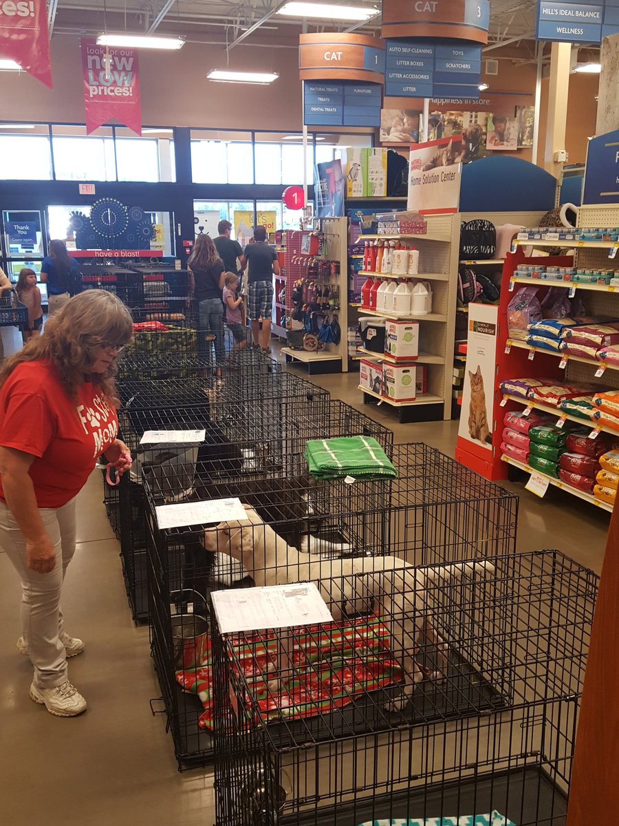 PetsmartLakeCity tweet media