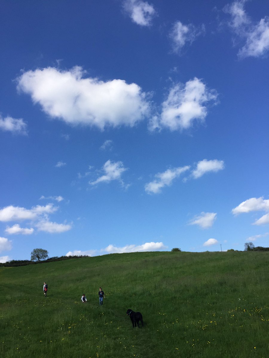 Lydiaples's tweet image. 3 Best ones on a hike to the pub 🍷☀️🌳👌