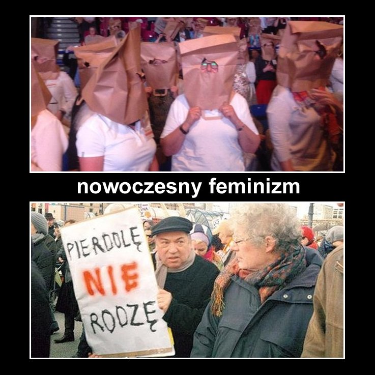 https://pbs.twimg.com/media/Cibgj6nWsAQT8DP.jpg
