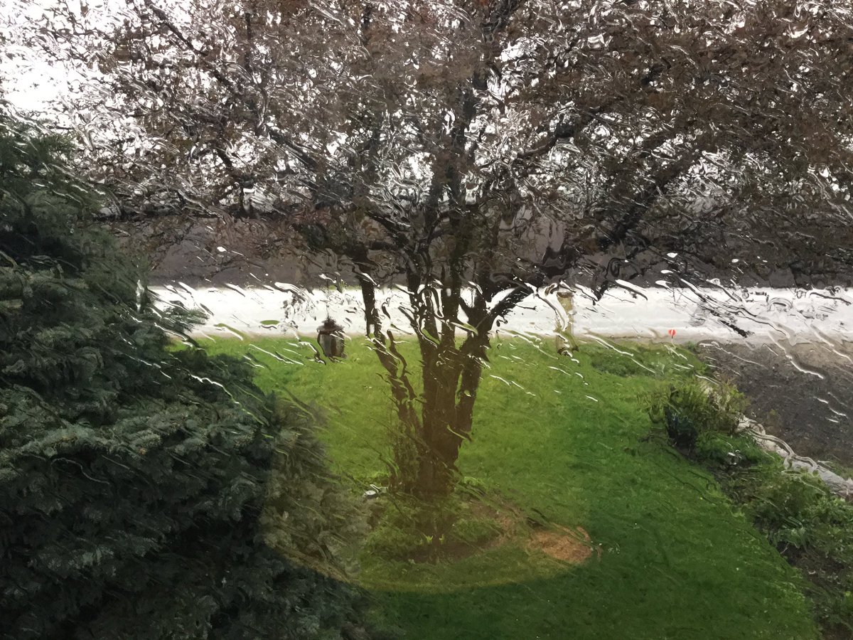eekfarms's tweet photo. Taking a break from #farmadmin & this is what's happening outside #nodust #AprilShowers https://t.co/111VKNjyk5