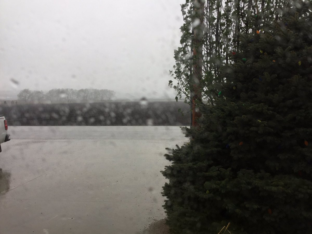 eekfarms's tweet photo. Taking a break from #farmadmin & this is what's happening outside #nodust #AprilShowers https://t.co/111VKNjyk5