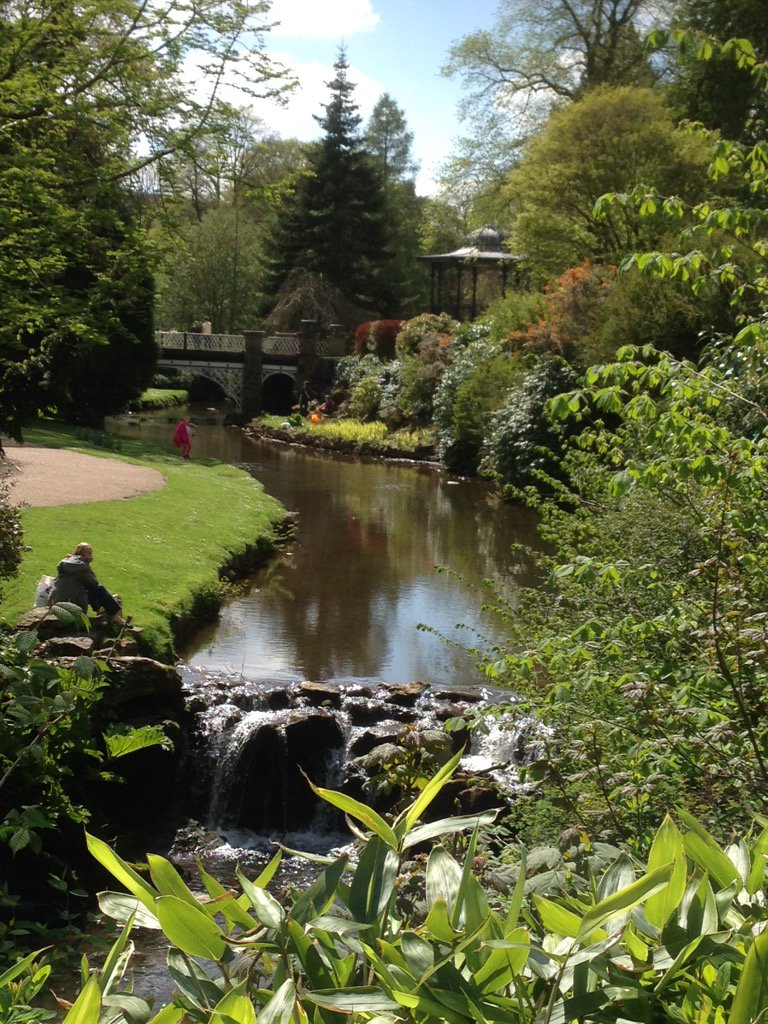 Al Stafford tweet media