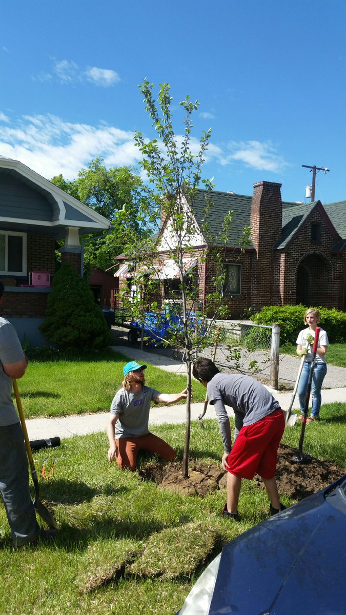 ProvoPower's tweet photo. Planting one tree at a time to help sequester about 48 pounds of carbon each year. #PublicPower #ProvoPower https://t.co/CcAZGX5yFr