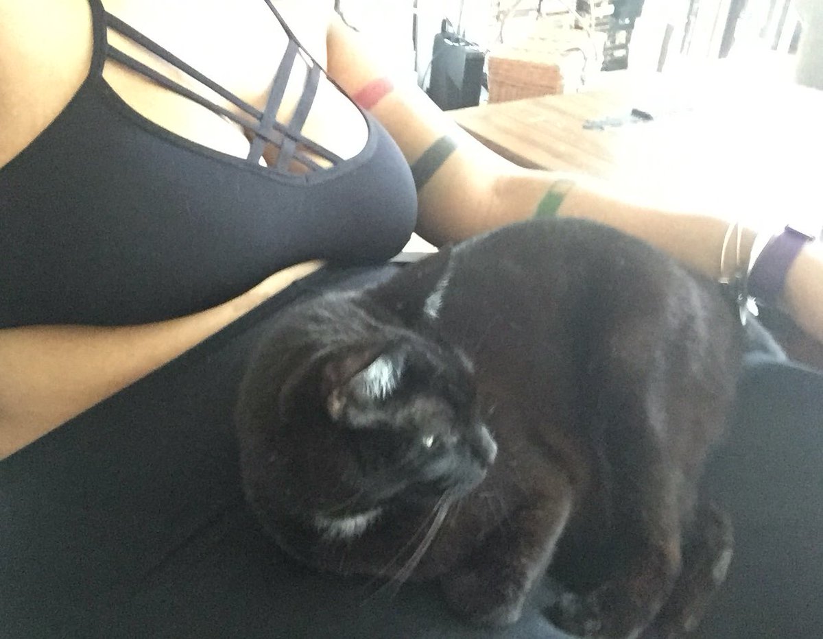 Black_Queering's tweet photo. Doula consult today and I'm all smiles!!! #Horus is being good and guarding #soulBBs #1sttrimester #blackqueering https://t.co/DLaiQSCOtX