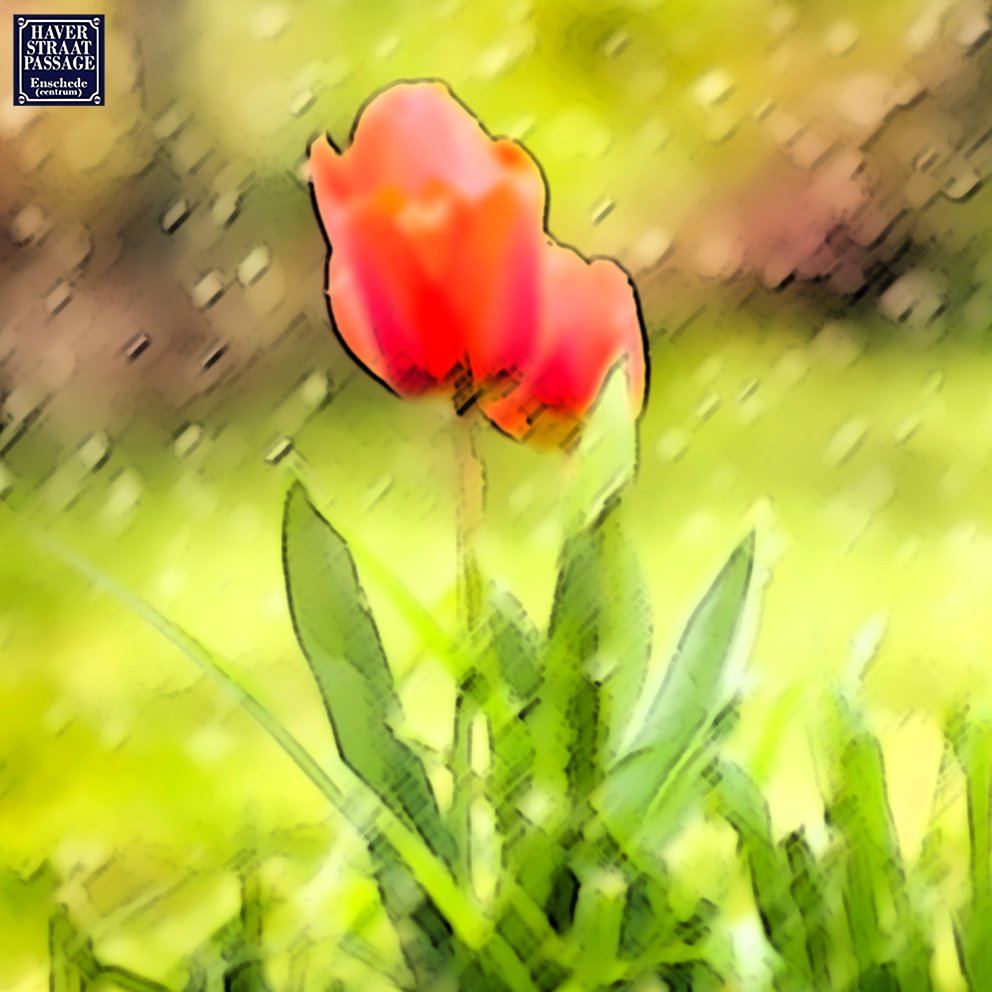 Wij wensen u fijne Pinksterdagen.

#Haverstraatpassage #Enschede
'Eén van de oudste winkelstraatje van Nederland'.