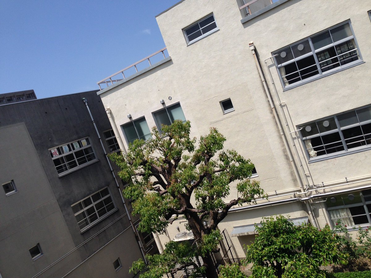 0715Buru's tweet photo. 今日は淀商行ってきた！！
久しぶりすぎて色々思いだしたわ！！ https://t.co/yWEjy5SRQA