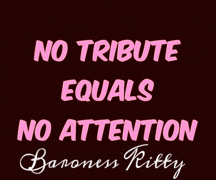 KittyBaroness's tweet photo. Slave accountability #slave #sub #ldr #cyber #findom #realmistress #payforperfection #chastity #keyholder JOIN NOW https://t.co/qjrRefQ7uk