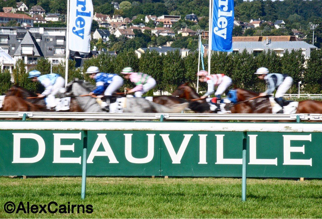 The Winning Post tweet media