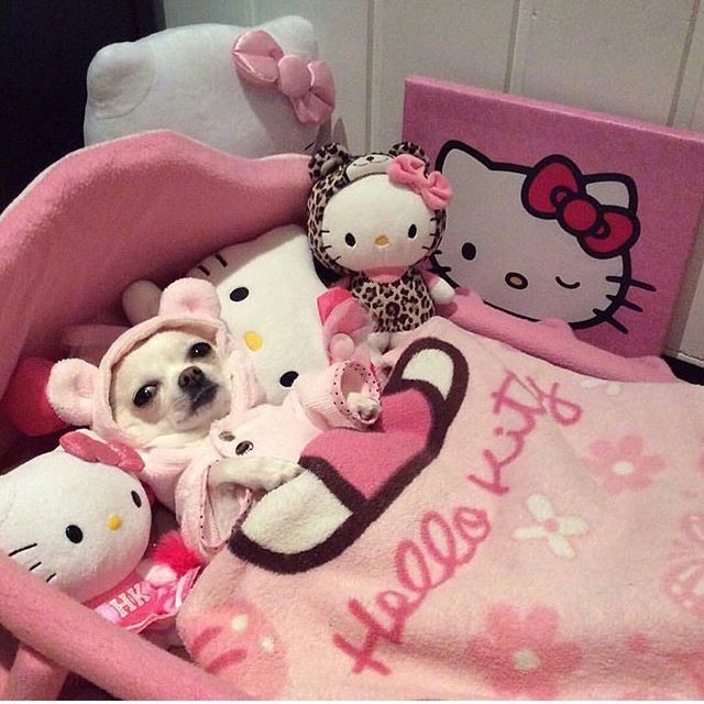 cleytu's tweet image. enquanto ta todo mundo saindo eu to tipo